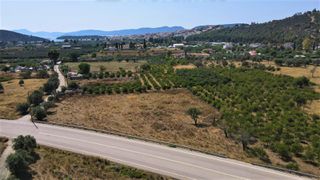 Οικόπεδο 3.180,60 τ.μ. για πώληση, Αργολίδα, Ερμιόνη-thumb-4