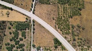 Οικόπεδο 3.180,60 τ.μ. για πώληση, Αργολίδα, Ερμιόνη-thumb-8