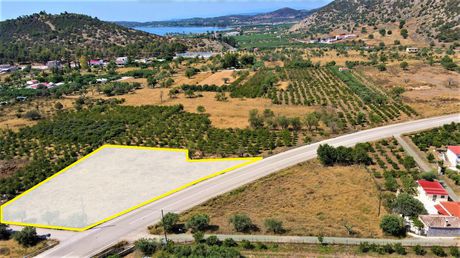 Οικόπεδο 3.180,60 τ.μ. για πώληση