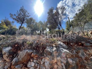 Οικόπεδο 1.100 τ.μ. για πώληση, Κορινθία, Σολύγεια-thumb-15