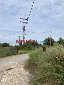 Αγροτεμάχια 14.000τ.μ. για πώληση-Μουδανιά