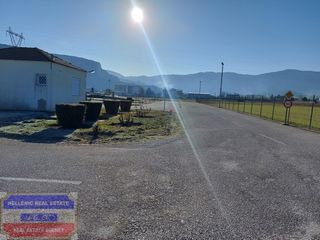 Αγροτεμάχια 6.000 τ.μ. για πώληση, Ν. Καβάλας, Ελευθερούπολη-thumb-6