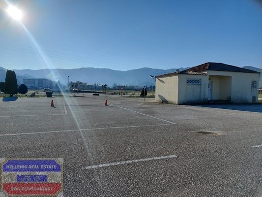 Αγροτεμάχια 6.000 τ.μ. προς πώληση, Αμισιανά