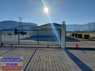 Αγροτεμάχια 6.000 τ.μ. για πώληση, Ν. Καβάλας, Ελευθερούπολη-thumb-15