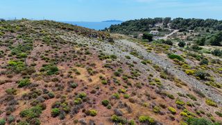 Οικόπεδο 305 τ.μ. για πώληση, Αργολίδα, Κρανίδι-thumb-8