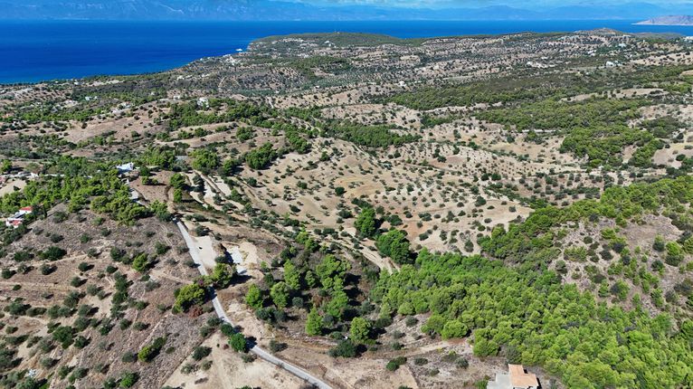 Αγροτεμάχια 4.000 τ.μ. για πώληση, Αργολίδα, Κρανίδι