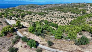 Αγροτεμάχια 4.000 τ.μ. για πώληση, Αργολίδα, Κρανίδι-thumb-2