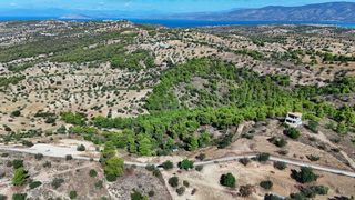 Αγροτεμάχια 4.000 τ.μ. για πώληση, Αργολίδα, Κρανίδι-thumb-7