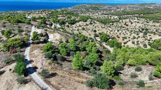 Αγροτεμάχια 4.000 τ.μ. για πώληση, Αργολίδα, Κρανίδι-thumb-4