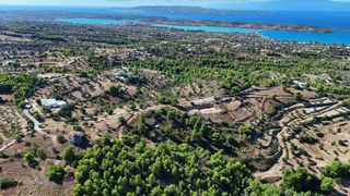 Αγροτεμάχια 4.000 τ.μ. για πώληση, Αργολίδα, Κρανίδι-thumb-19