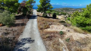 Αγροτεμάχια 4.000 τ.μ. για πώληση, Αργολίδα, Κρανίδι-thumb-23