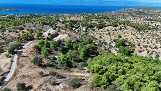 Αγροτεμάχια 4.000 τ.μ. για πώληση, Αργολίδα, Κρανίδι-thumb-6