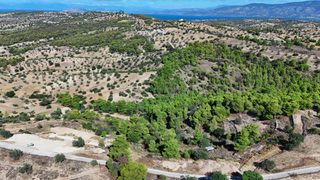Αγροτεμάχια 4.000 τ.μ. για πώληση, Αργολίδα, Κρανίδι-thumb-1