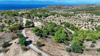 Αγροτεμάχια 4.000 τ.μ. για πώληση, Αργολίδα, Κρανίδι-thumb-3