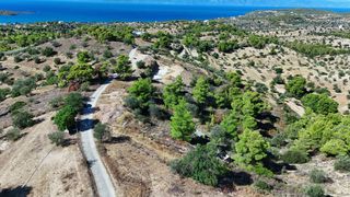 Αγροτεμάχια 4.000 τ.μ. για πώληση, Αργολίδα, Κρανίδι-thumb-5