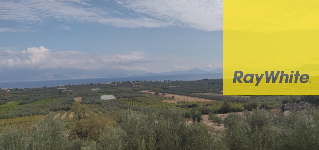Αγροτεμάχια 8.200 τ.μ. προς πώληση, Διμηνιό
