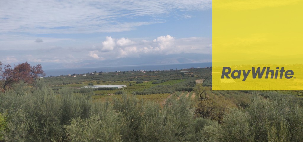 Αγροτεμάχια 8.200 τ.μ. προς πώληση, Διμηνιό