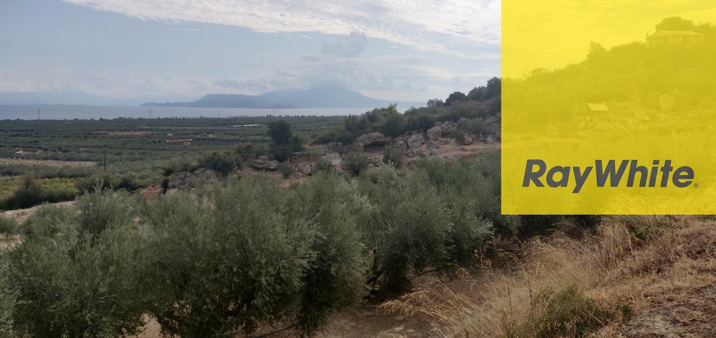 Αγροτεμάχια 8.200 τ.μ. προς πώληση, Διμηνιό