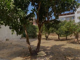 Κτίριο 228 τ.μ. προς πώληση, Λουτρά Αιδηψού-thumb-10