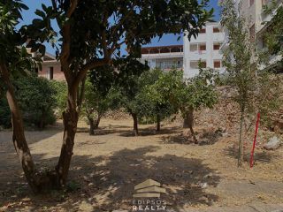Κτίριο 228 τ.μ. προς πώληση, Λουτρά Αιδηψού-thumb-17