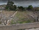 Οικόπεδο 1.000τ.μ. για πώληση-Παλαιά φώκαια