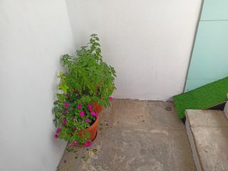 Studio / γκαρσονιέρα 24 τ.μ. για ενοικίαση, Ν. Ιωαννίνων, Ιωάννινα-thumb-13