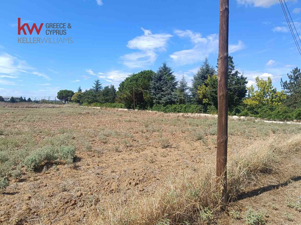 Αγροτεμάχια 9.180 τ.μ. προς πώληση, Θέρμη