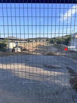 Οικόπεδο 6.500 τ.μ. για πώληση
