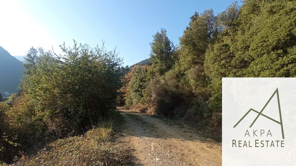 Οικόπεδο 1.957 τ.μ. προς πώληση, Γοριανάδες