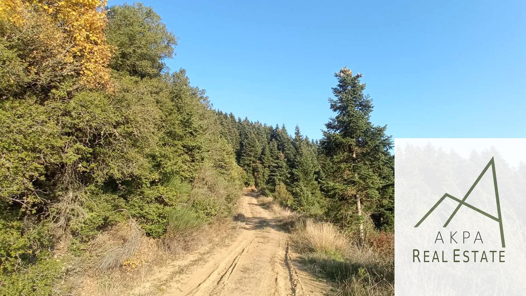 Οικόπεδο 1.957 τ.μ. προς πώληση, Γοριανάδες