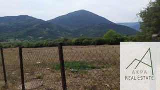Αγροτεμάχια 9.800 τ.μ. για πώληση, Ευρυτανία, Καρπενήσι-thumb-1