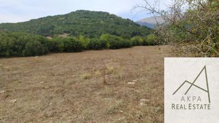 Αγροτεμάχια 9.800 τ.μ. για πώληση, Ευρυτανία, Καρπενήσι-thumb-5