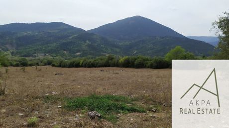 Parcel 9.800sqm for sale-Karpenisi