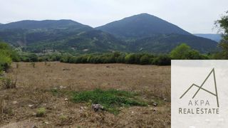 Αγροτεμάχια 9.800 τ.μ. για πώληση, Ευρυτανία, Καρπενήσι-thumb-3