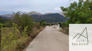 Αγροτεμάχια 9.800 τ.μ. για πώληση, Ευρυτανία, Καρπενήσι-thumb-7