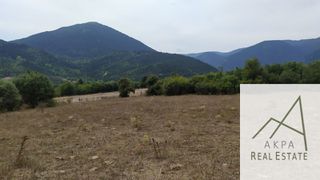 Αγροτεμάχια 9.800 τ.μ. για πώληση, Ευρυτανία, Καρπενήσι-thumb-9