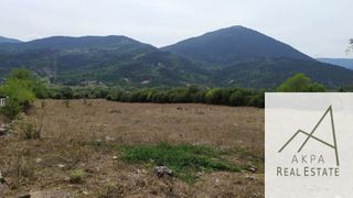 Αγροτεμάχια 9.800 τ.μ. για πώληση, Ευρυτανία, Καρπενήσι-thumb-6