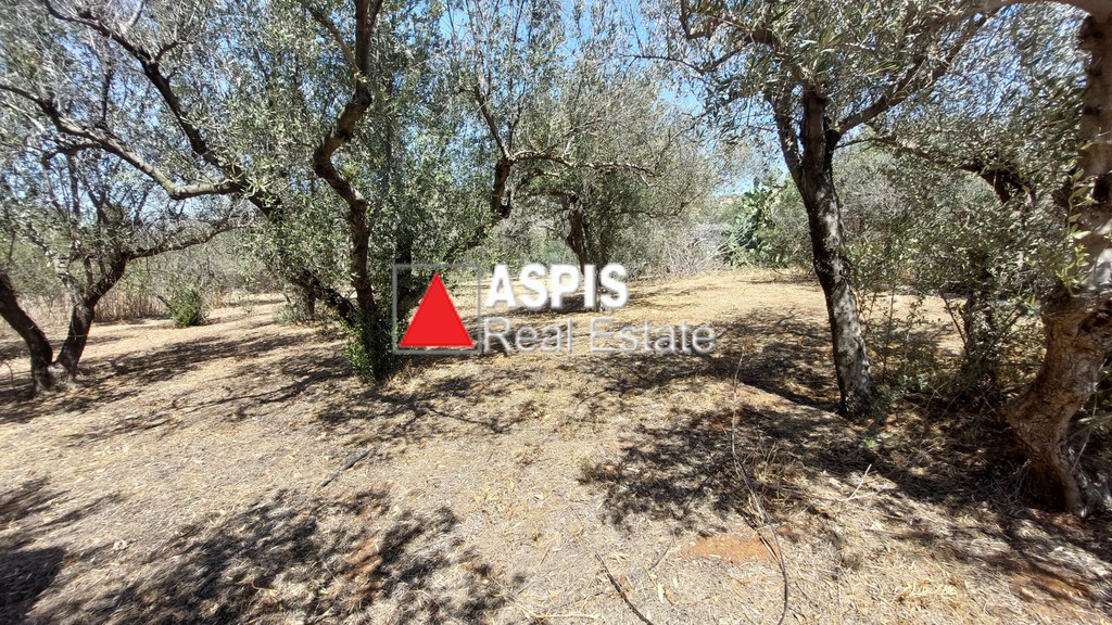 Οικόπεδο 3.000 τ.μ. προς ενοικίαση, Αθήνα - Νότια Προάστια, Βάρη- Βάρκιζα