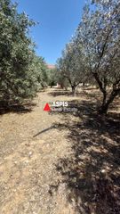 Οικόπεδο 3.000 τ.μ. προς ενοικίαση, Αθήνα - Νότια Προάστια, Βάρη- Βάρκιζα-thumb-4