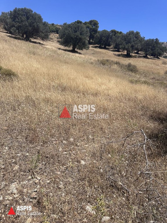 Αγροτεμάχια 700 τ.μ. προς πώληση, Πλάκα Κερατέας