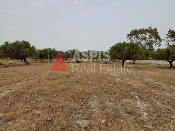 Αγροτεμάχια 4.200 τ.μ. για πώληση, Αττική - Υπόλοιπο, Κερατέα