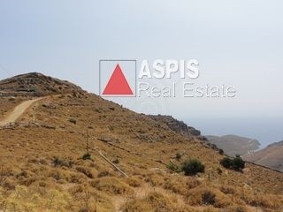 Αγροτεμάχια 11.500 τ.μ. προς πώληση, Σπαθί