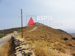 Αγροτεμάχια 11.500 τ.μ. προς πώληση, Σπαθί