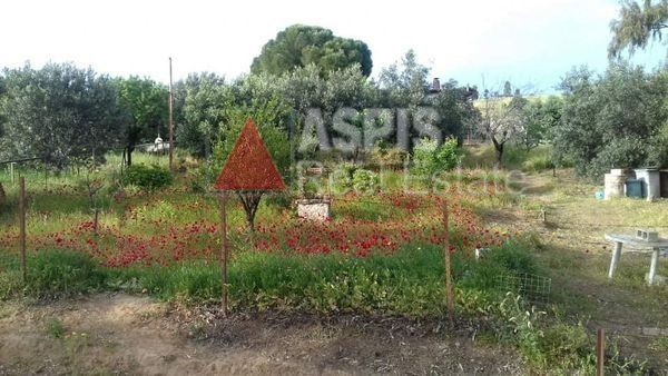 Μονοκατοικία 60 τ.μ. για πώληση, Αττική - Υπόλοιπο, Κερατέα