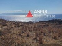 Αγροτεμάχια 8.042 τ.μ. προς πώληση, Άγιος Δημήτριος Κύθνου