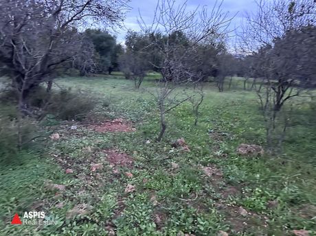 Οικόπεδο 1.200τ.μ. για πώληση-Ανάβυσσος