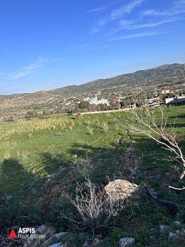 Αγροτεμάχια 3.400τ.μ. για πώληση-Ανάβυσσος