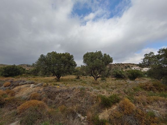 Αγροτεμάχια 12.000 τ.μ. για πώληση, Αττική - Υπόλοιπο, Κερατέα