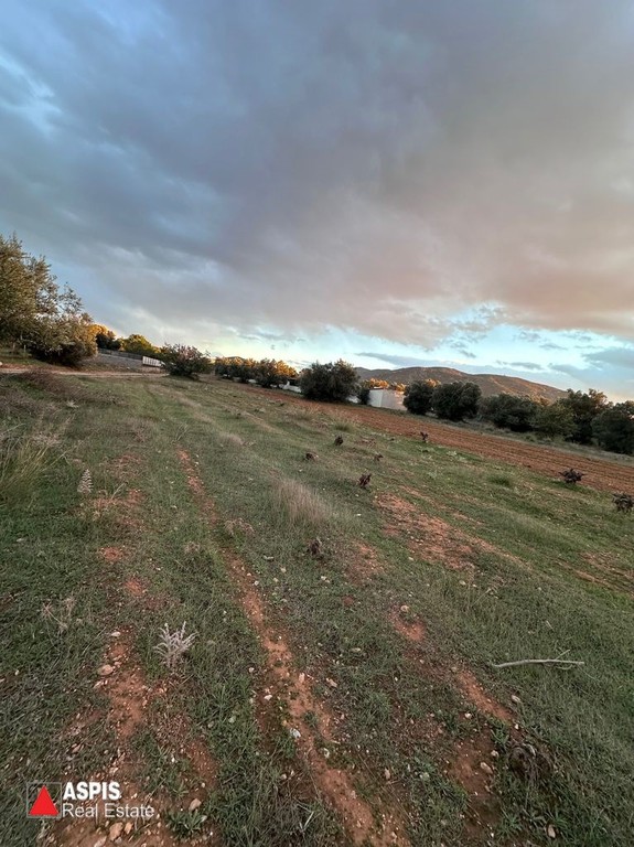 Αγροτεμάχια 8.000 τ.μ. προς πώληση, Λαγονήσι
