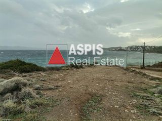Αγροτεμάχια 11.000 τ.μ. για πώληση